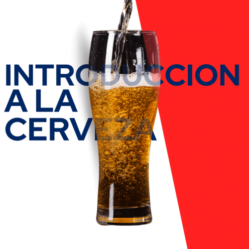 Un vaso de cerveza que se llena de espuma domina la escena, sobre un fondo dividido en colores blanco y rojo. El texto "Introducción a la Cerveza" ocupa un lugar destacado, haciendo referencia al curso sobre cerveza.